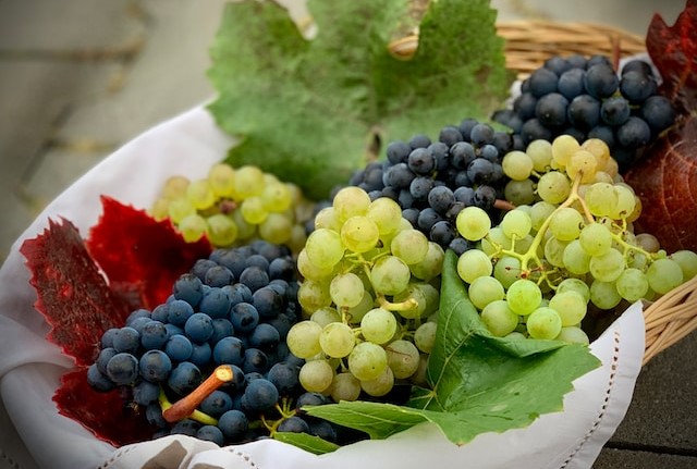 "Grapes on "banned list" for dogs_gunter-hoffmann-unsplash